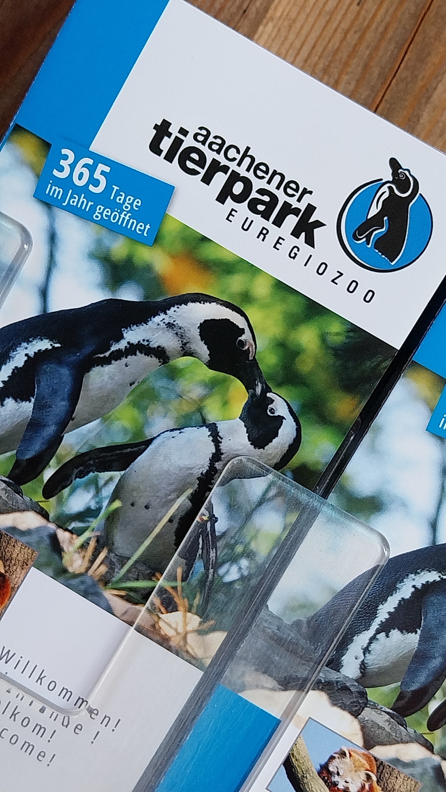 Aachener Tierpark
